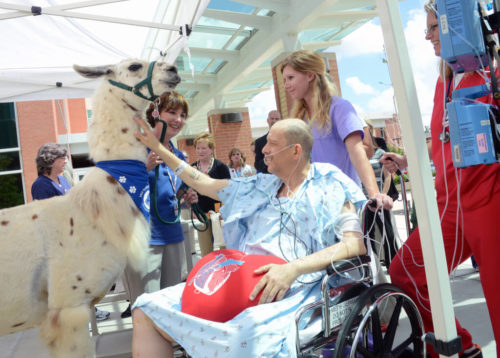 8. Methodist Le Bonheur Healthcare